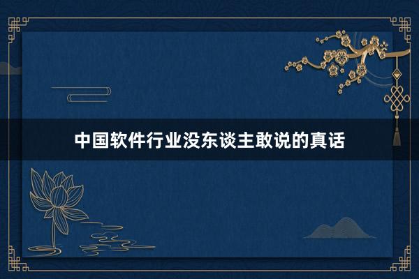 中国软件行业没东谈主敢说的真话