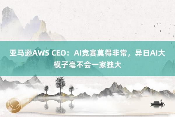 亚马逊AWS CEO：AI竞赛莫得非常，异日AI大模子毫不会一家独大
