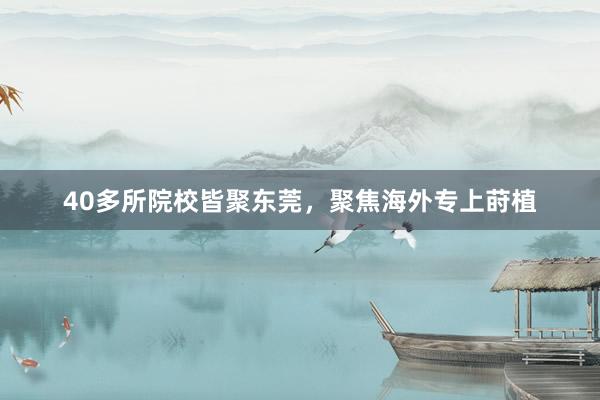 40多所院校皆聚东莞，聚焦海外专上莳植