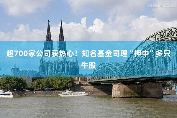 超700家公司获热心！知名基金司理“押中”多只牛股