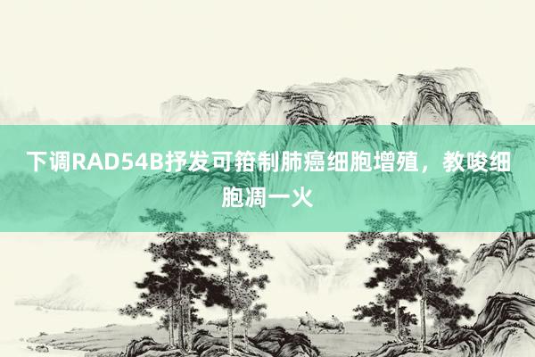 下调RAD54B抒发可箝制肺癌细胞增殖，教唆细胞凋一火