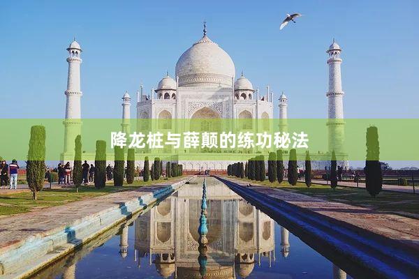 降龙桩与薛颠的练功秘法