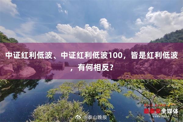 中证红利低波、中证红利低波100，皆是红利低波，有何相反？